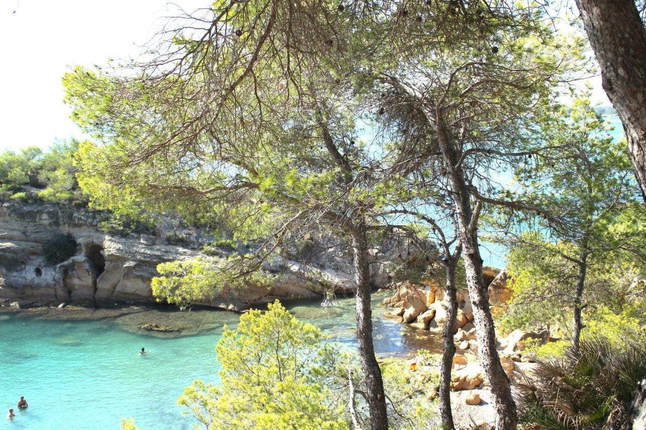 Bonito Loft En L'Ampolla Διαμέρισμα Εξωτερικό φωτογραφία